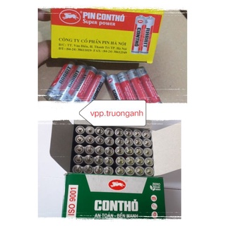 pin con thỏ tiểu AA và AAA