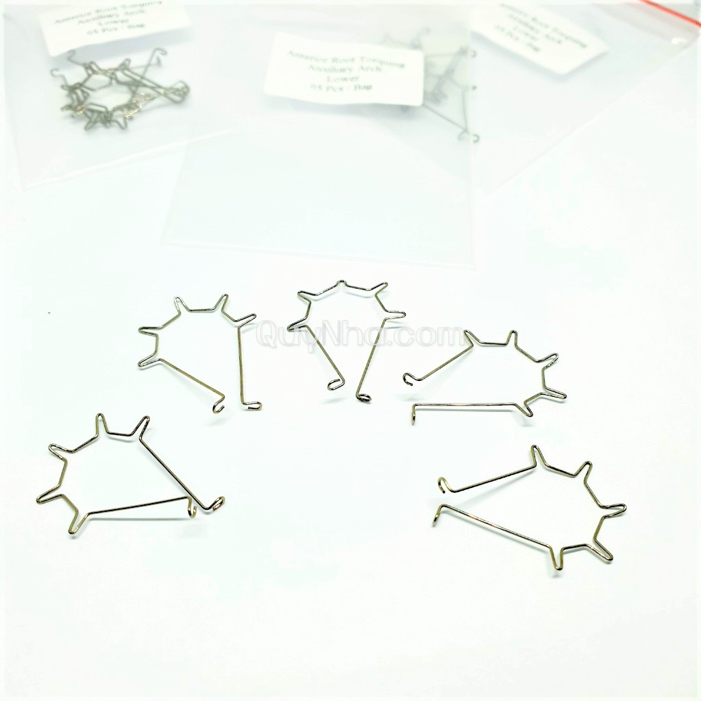 Lò xo Torquing ART Auxiliary