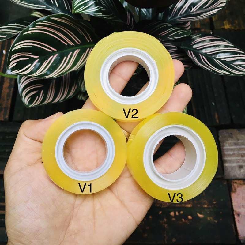 Băng keo trắng trong, vàng 1cm, 1,2cm, 2cm