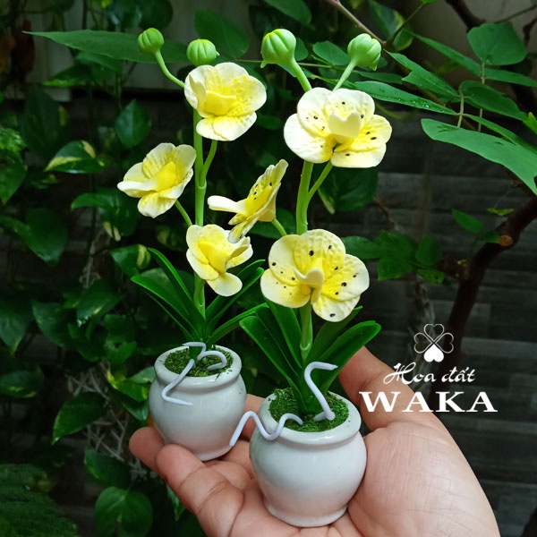 Hoa Đất Sét Mini- Lan Vanda