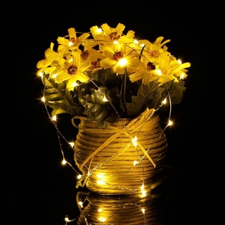 Dây Đèn Led Trang Trí Dài 1M 2M 3M