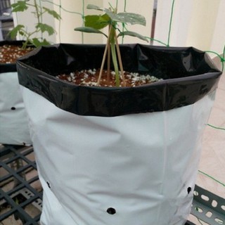 5 Túi Pe Trồng Cây 2 Lớp 20x40cm