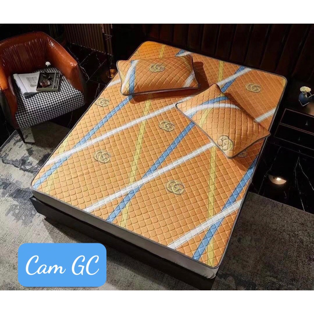 Chiếu điều hòa cao su non, vải lụa Tecel cao cấp, kích thước m6/m8/2m2- Khủng long nhí