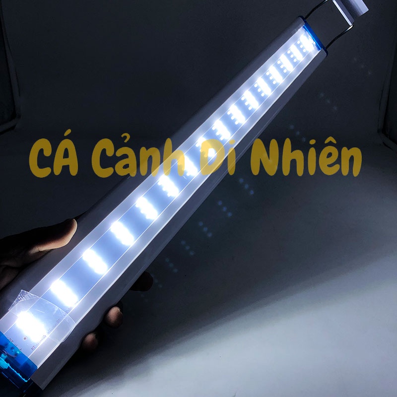 Đèn LED máng kẹp thành hồ cá 60-70 cm 24W 2 dãy màu TRẮNG - ĐỔI MÀU 48 LED P600