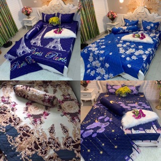 Set chăn ga trần bông poly