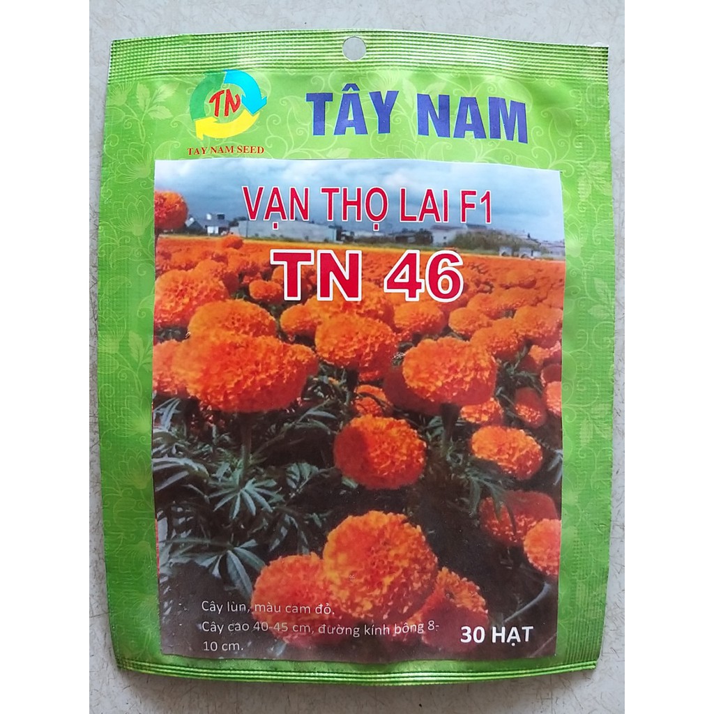 Hạt giống vạn thọ lùn cam và vàng chanh Tây Nam gói 20 hạt