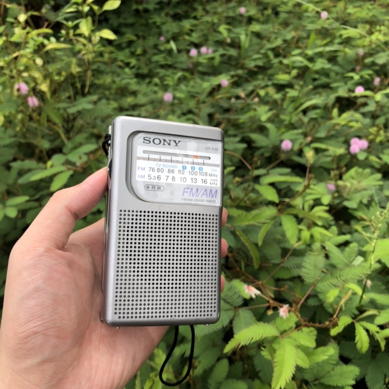 Đài Radio Sony