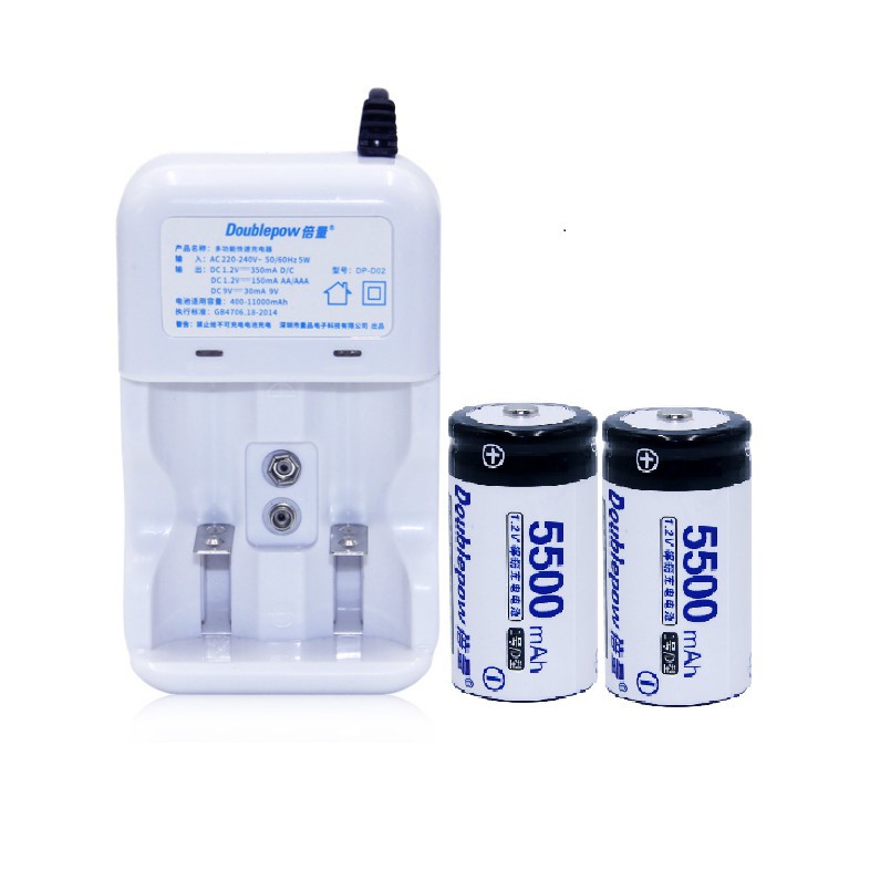 Bộ pin + sạc Pin Đại  dung lượng 5500mah Doublepow dùng cho bếp gas, đèn pin, chuông báo động...