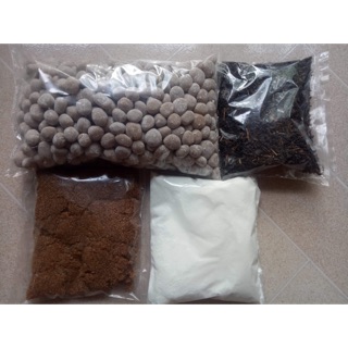 Sét trà sữa trân châu đường đen