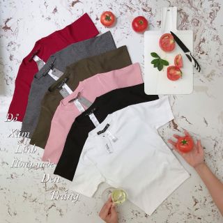 Áo croptop 4 mẫu AGE2X