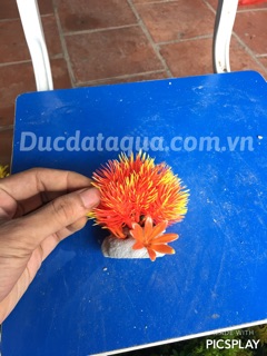 Cây hoa cỏ nhựa cao cấp