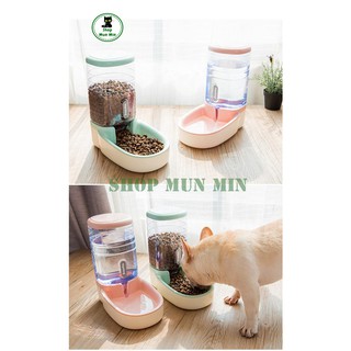 Bát ăn tự động chó mèo