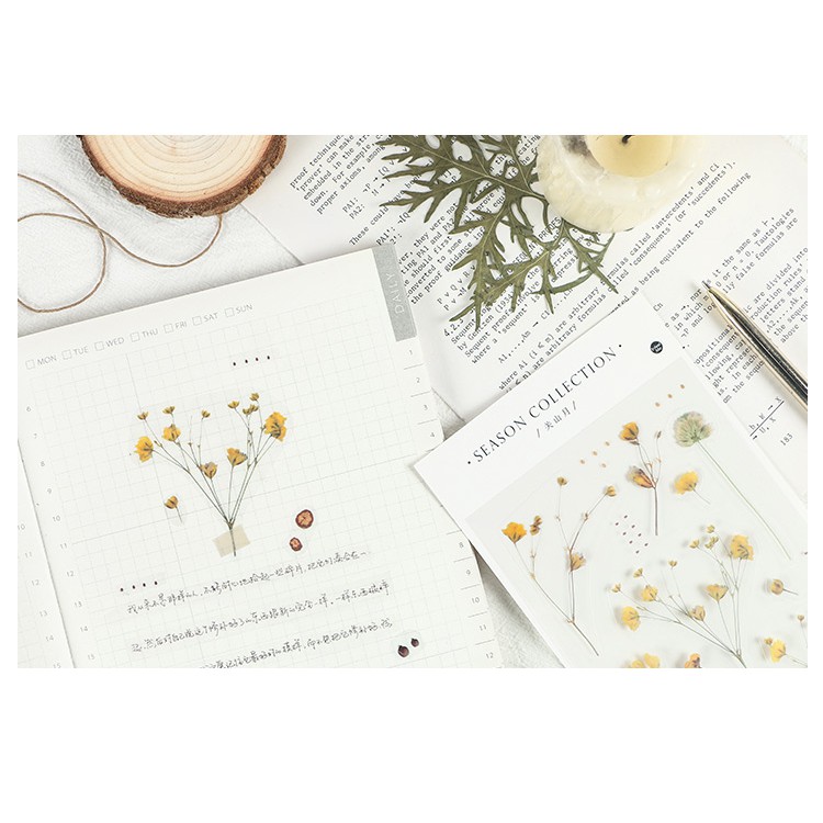 Sticker hoa vintage trong hình dán trang trí sổ tay bullet journal dụng cụ dán planner SEASON COLLECTION