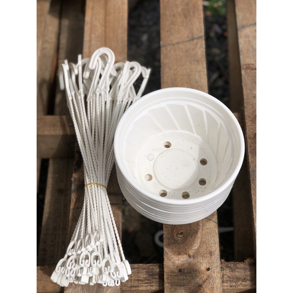 Bộ 10 chậu treo trồng cây kích thước fi 16 x 9cm