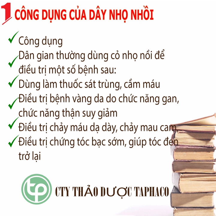 Cây Nhọ Nồi  Sấy Khô 500g