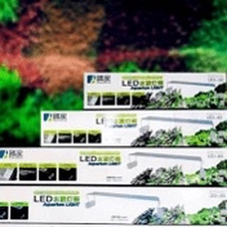 Đèn led aquablue led 45cm và 60 cm - đèn chuyên dụng thủy sinh led aquarium light