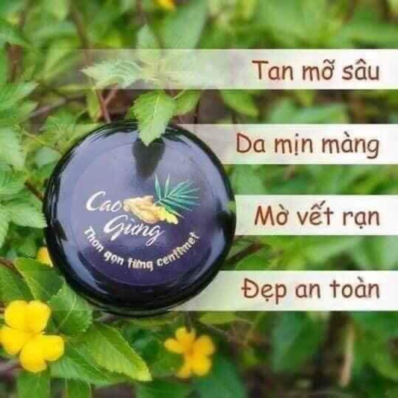 CAO GỪNG TAN MỠ - ĐÁNH BAY MỠ THỪA