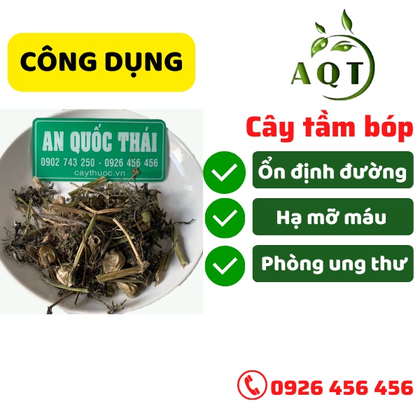 Cây Tầm Bóp 1kg (Thù Lù, Lồng Đèn, Bôm Bốp) Hỗ Trợ Tiểu Đường, Tầm Bóp Khô Đóng Gói Sạch Sẽ