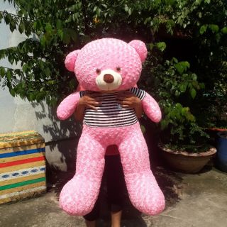 GẤU TEDDY SIÊU KHỦNG 1M2