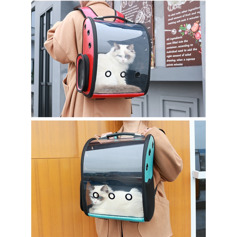 Balo vận chuyển chó mèo trong suốt - size lớn chó mèo &lt; 15kg - A220