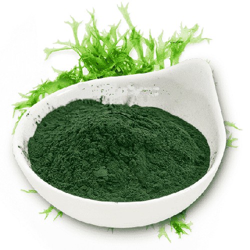 Tảo viên, tảo bột Spirulina cho cá- thức ăn nuôi artemia, bobo - cám tảo dinh dưỡng cho tép cảnh, ốc cảnh-shopleo