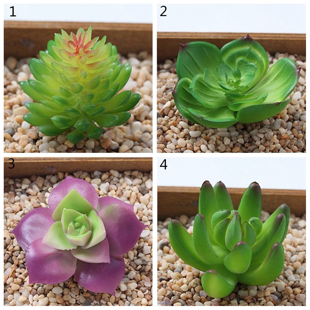 Cây sen đá nhân tạo dùng trang trí nhà cửa