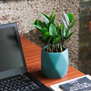 ❣️TẶNG 1 DĨA❣️Chậu Sứ Trám Nhỏ Trồng Sen Đá Cây Cảnh- Chậu Sứ Bát Tràng - Chậu Cây Giá Rẻ [Mã0021]