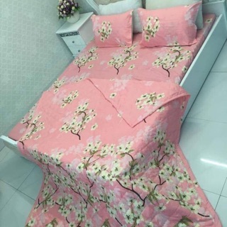 Sét chăn hè + ga chun + 2 vỏ gối