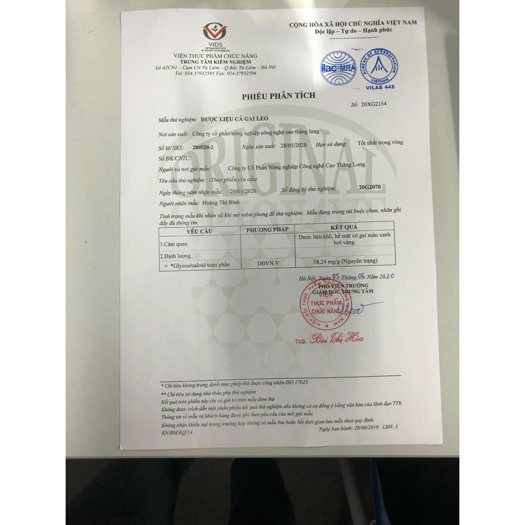 TRÀ TÚI LỌC CÀ GAI LEO SADU MÁT GAN THẢI ĐỘC GAN