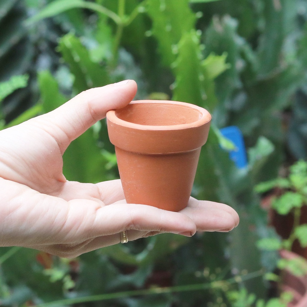 Chậu Đất Nung Đỏ mini nhiều size phong cách tối giản minimalism - phù hợp trồng sen đá, xương rồng