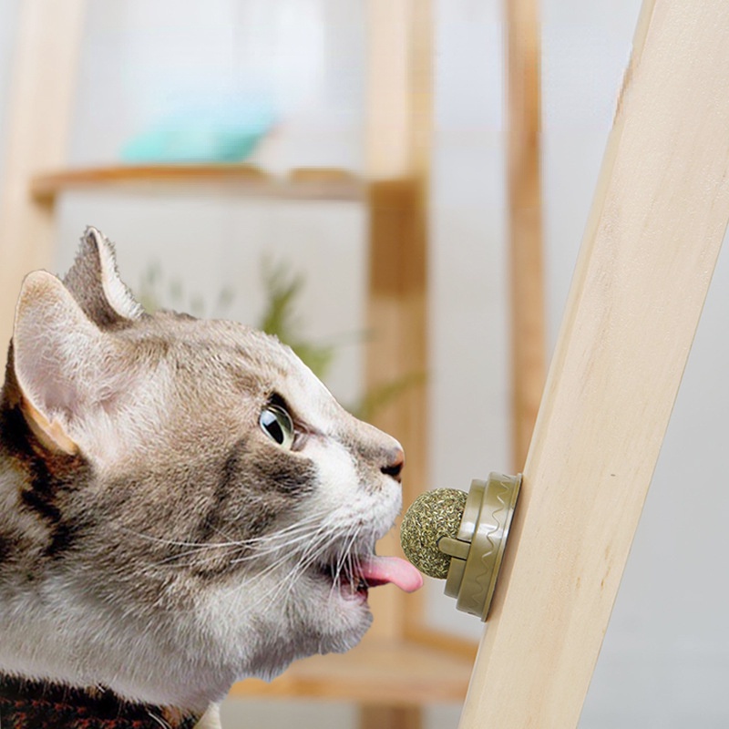 Quả Bóng catnip Xoay Cho Mèo