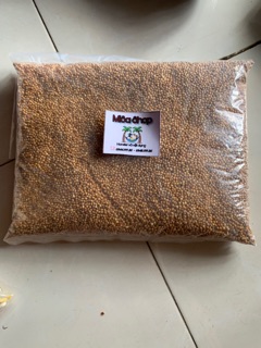 Hạt Kê Vàng 100g