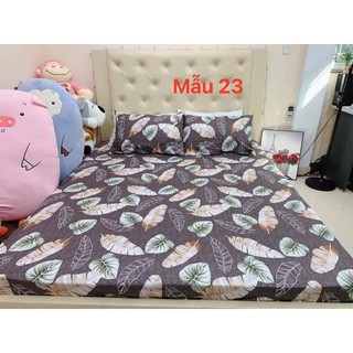 ga giường cotton