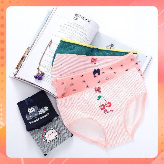 1c Quần lót cotton hoa quả họa tiết kute dễ thương