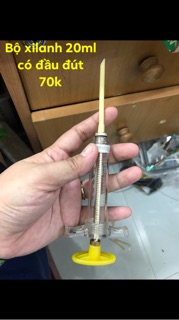 Ống bơm/ xi lanh đút bột chim non loại tốt 10ml, 20ml ,30ml,50ml.