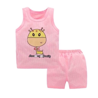 Cotton giấy