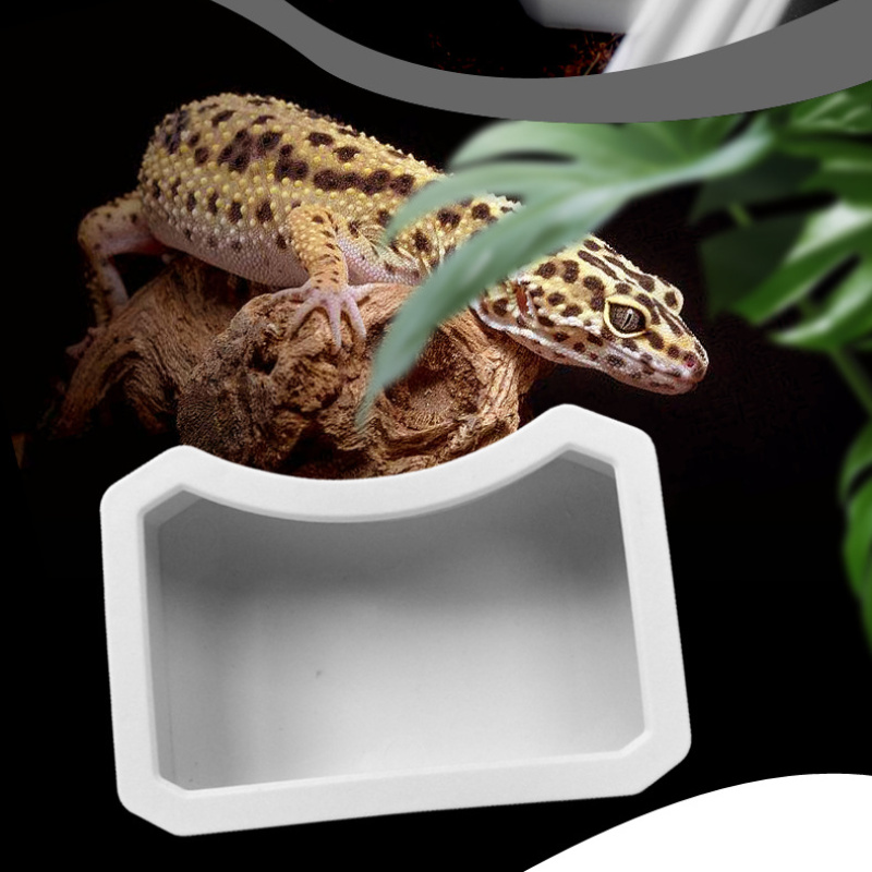 Bát ăn cho bò sát thú cưng - Bát đựng nước uống cho bò sát thú cưng