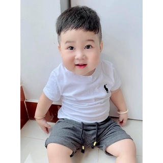 Áo phông Polo trơn bé trai