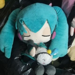 Gấu bông của mực