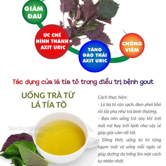 Trà Tía Tô (Hỗ trợ cho người bị gout, men gan cao, giảm đau nhức xương khớp) - Bịch 50 Túi Lọc