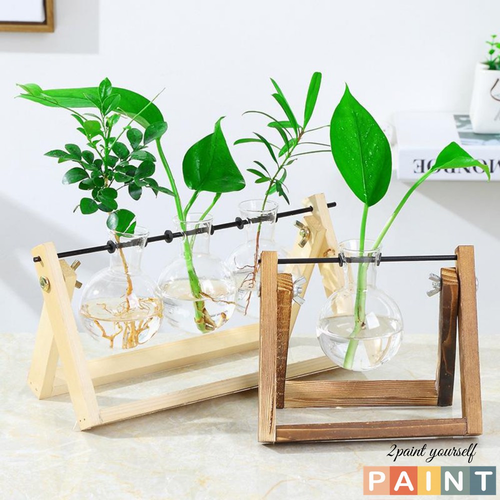 Lọ thủy tinh trồng cây thủy canh đế gỗ, decor trang trí để bàn 2Paint