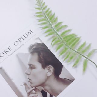 phụ kiện chụp ảnh background lá cây