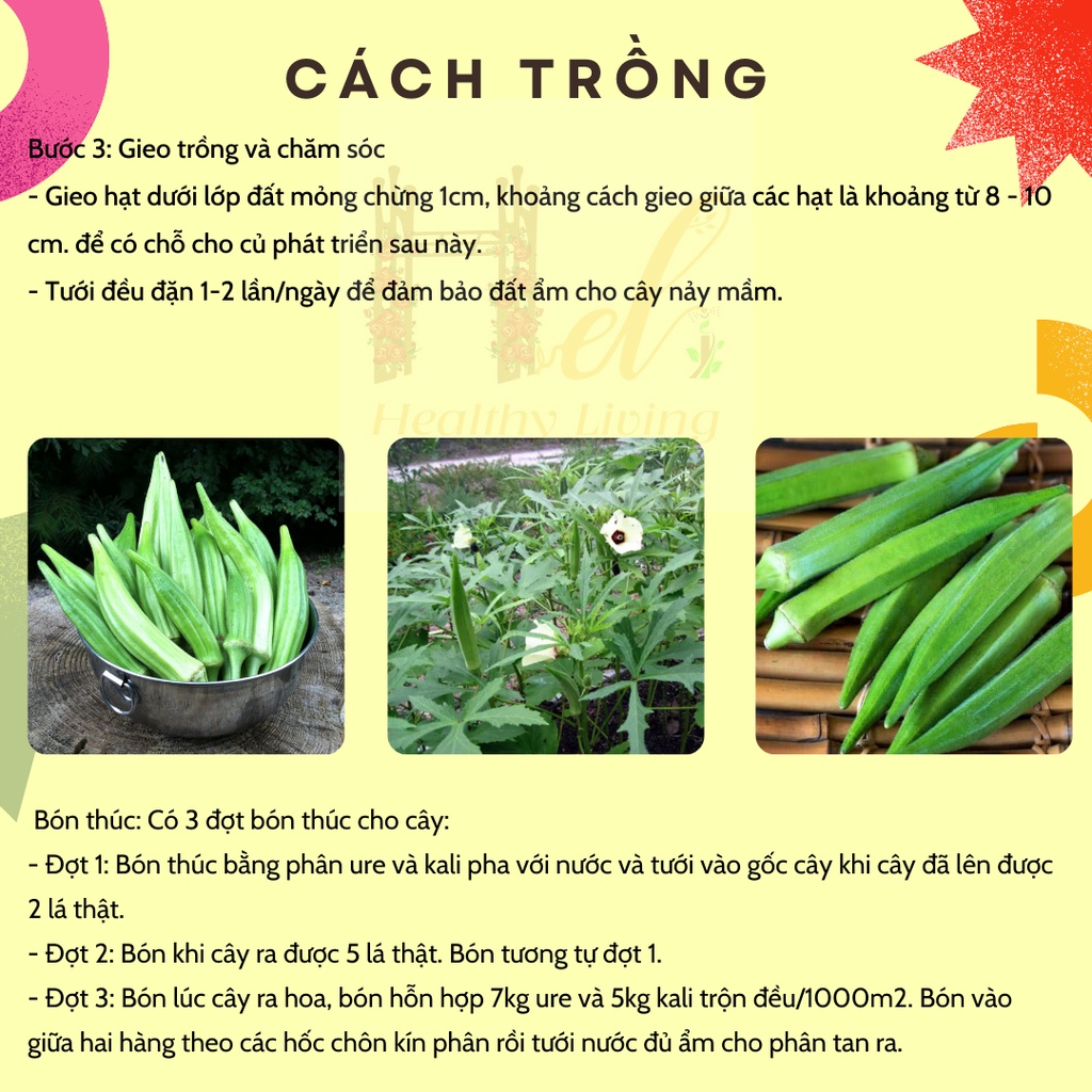 Hạt Giống Đậu Bắp 5 Cạnh Trái Trắng Cây Lùn - Trồng Hạt Giống Rau Củ Quả Bằng Đất Sạch, Xơ Dừa, Mùn Dừa Và Phân Bón