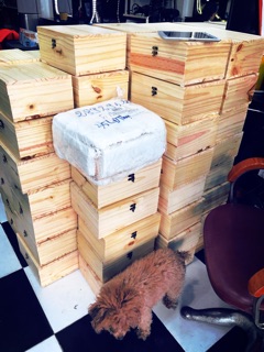 Đặt chân đá muối himalaya