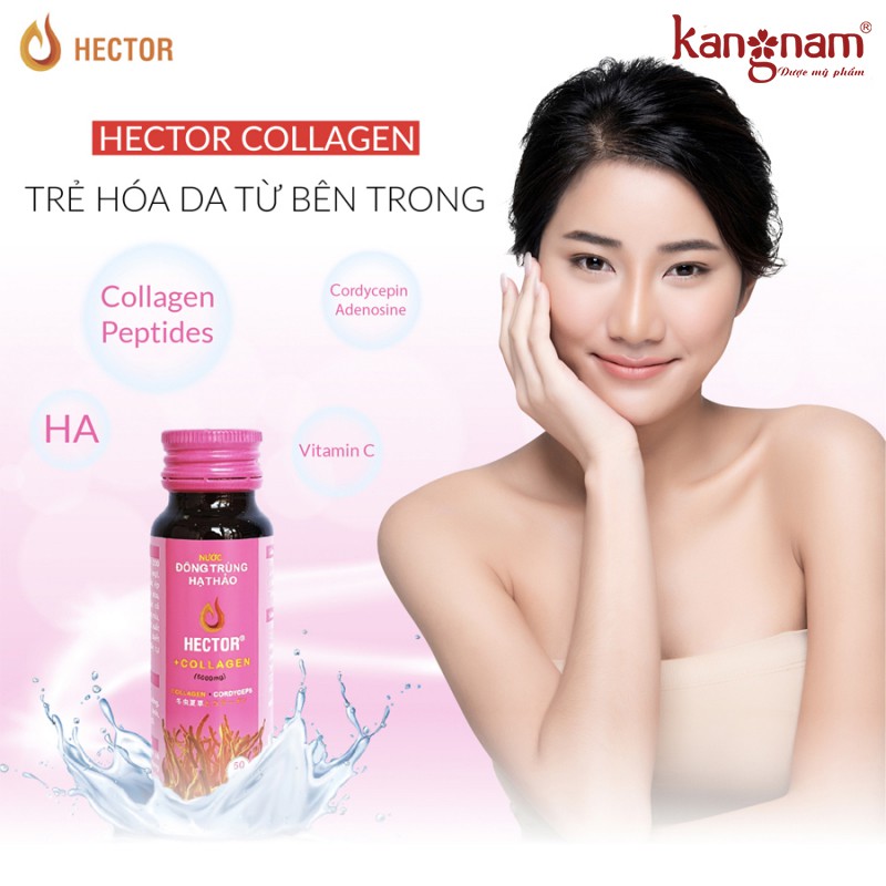 Nước Đông Trùng Hạ Thảo Kết Hợp Collagen Hector 10 Chai