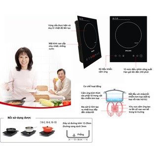 Bếp từ lắp âm-dương FEUER FE-A73