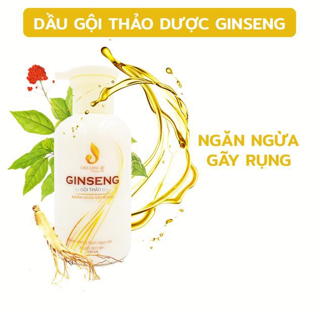 Dầu Gội GINSENG - chiết xuất nhân sâm, giúp da đầu khỏe mạnh, sạch gàu, ngăn ngừa gãy rụng tóc | BigBuy360 - bigbuy360.vn