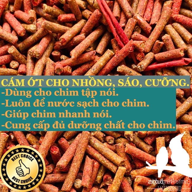 1KG CÁM ỚT CHO NHỒNG, SÁO, CƯỠNG TẬP NÓI.