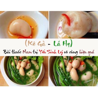 Ngọc kê gà tây hộp 500gr  (HOẢ TỐC)