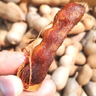 Me Lào Chua Ngọt 500G